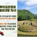 상주벌초대행