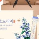 구록원 이미지