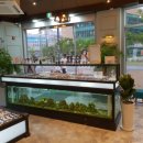 아쿠아이즈안경원 새롬점 이미지