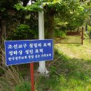 다목적광장 야영장 이미지