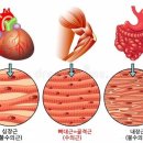 오늘의필라테스