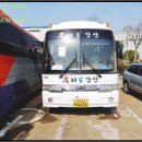 하단동1151 이미지