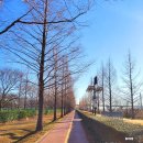 낙동강관리본부 화명생태공원 10 | 화명생태공원: 부산 자전거 대여소, 축구장, 산책로(feat. 화장실, 풋살장, 화명 운동장)