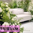 신사1-010 | 강남 웨딩홀 디렉팅웨딩CM 신뢰받는 단독홀과 자연 친화적 공간