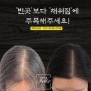 김포구래동두피문신 자연스럽게 채우는 변화 필릭스스칼프 후기 많은 이유