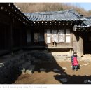 취화선 이미지