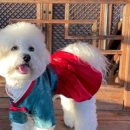 사계절마트 이미지