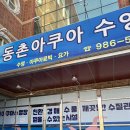 동촌아쿠아수영장 이미지