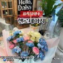 데이지 | 남양주 무인 다산동꽃집 헬로데이지 카네이션 꽃다발 후기