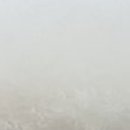 고려애견 이미지