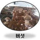 이씨에스 이미지