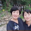 인셀덤미소 - 동대문구 사가정로 80 | 인셀덤미소
