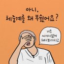 벨트레이닝 이미지