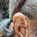 오티콘보청기 고양덕양점 | 오티콘보청기 가격, 인텐트 완벽정리