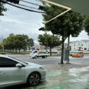 사림동144 이미지