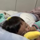 젠아이교육 이미지