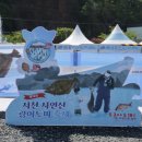 도미 | 서천 자연산 광어 도미 축제 방문 후기