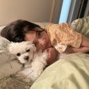 펫프렌즈동물병원 | 포인핸드 유기견 입양 후기 | 전주 프렌즈동물병원 🐶 나의 소중한 가족을 소개합니다!