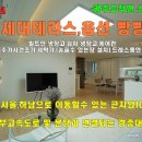 하남올리브약국 이미지