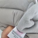 카라2 | 내돈내산 패리스독 넥카라 강아지 2마리 착용 솔직 후기