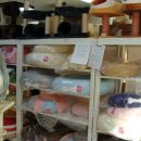 디자인펫샵 이미지