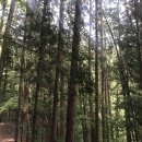 산청칼국수 이미지