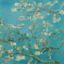 오늘도 맑개 이미지