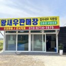 잡수새우 이미지