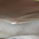 용산-현장-40 이미지