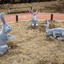 산토끼노래동산 티스토리