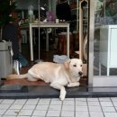 엠디자인노리터 이미지