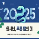 2025년 을사년(乙巳年)은 푸른 뱀의 해 이미지