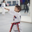 분당명성태권도장 이미지