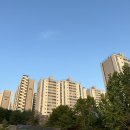 팔팔쌈닭 이미지