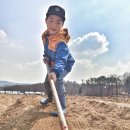 손병호농장 이미지