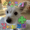 뽑스 | [일기] 인형뽑기 중독 12주차.