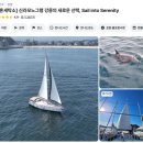 강릉 숨숨집 | 강릉 감성 펜션 자쿠지 고양이 펜션 네코스테이