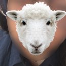 마음애사랑의원 | 너무더우면까만긴옷입자