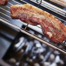 데일리 댕댕 이미지