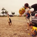 오늘은 장어 이미지