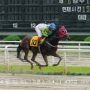 우리호프 이미지