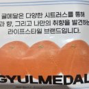 맘모스화장품 네이버블로그