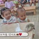 장수동물의료원 이미지