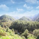 경기도 양평 워크샵단체펜션 산책로 경치좋은 독채펜션 자작나무 숲길 이미지