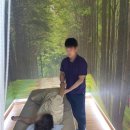 바디케어힐링센터 이미지