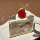 종합운동장 입구(G20) | 수원 케이크 디저트 맛집 카페디아즈 수원종합운동장점 대형카페 추천