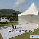 고인의 사회적지위와 품격에 맞는 최고수준의 맞춤장례, 풍수지리적으로 의미있는 묘지조성, 전통의례를...