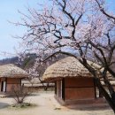 EG투어버스 E코스 이미지