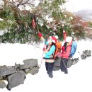 (장성) 축령산 눈폭탄(1) 이미지