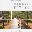 불곡산농원 - 양주시 양주산성로307번길 18 | 장지 탐방 #11, 양주수목장림, 장지추천 / 장지비교 /장지구매 / 장지이장 / 장지상담